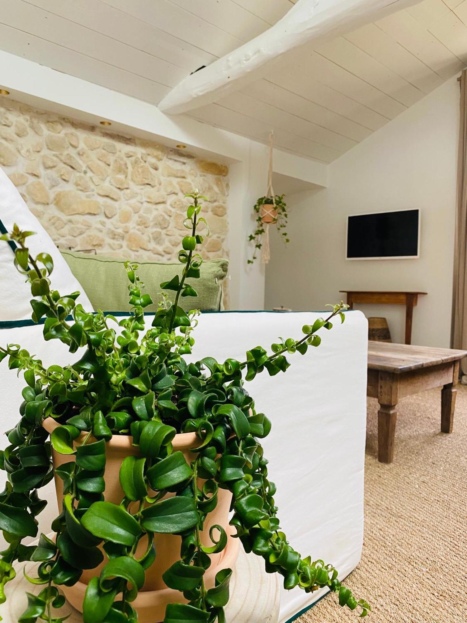 La Bastide De Guiche Entre Ocean Et Montagnes 아파트 외부 사진